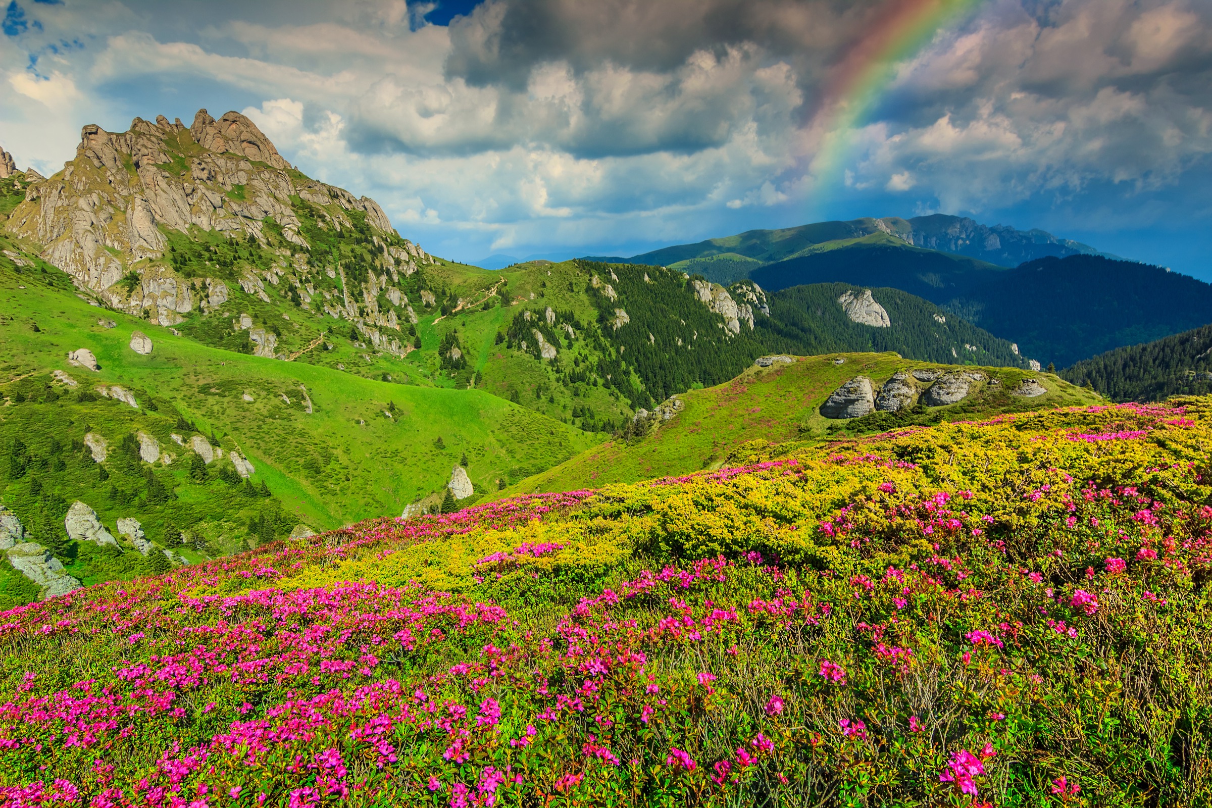 The Carpathian mountains