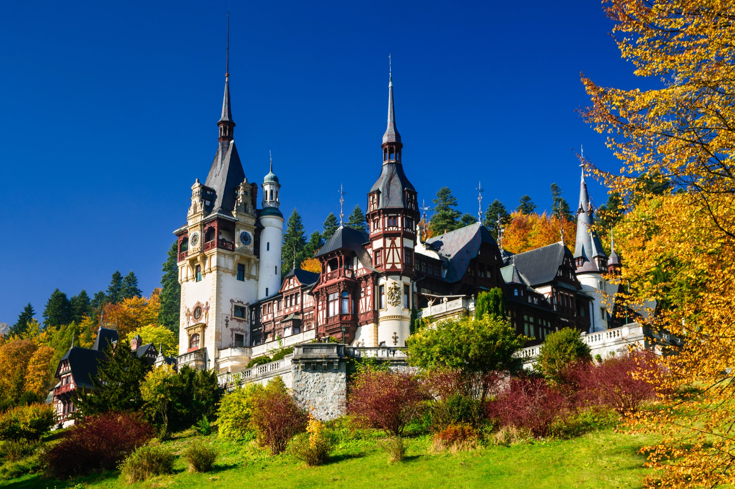 Peleș Castle among autumn trees at Sinaia